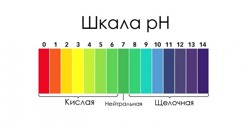 Шкала pH Шкала pH