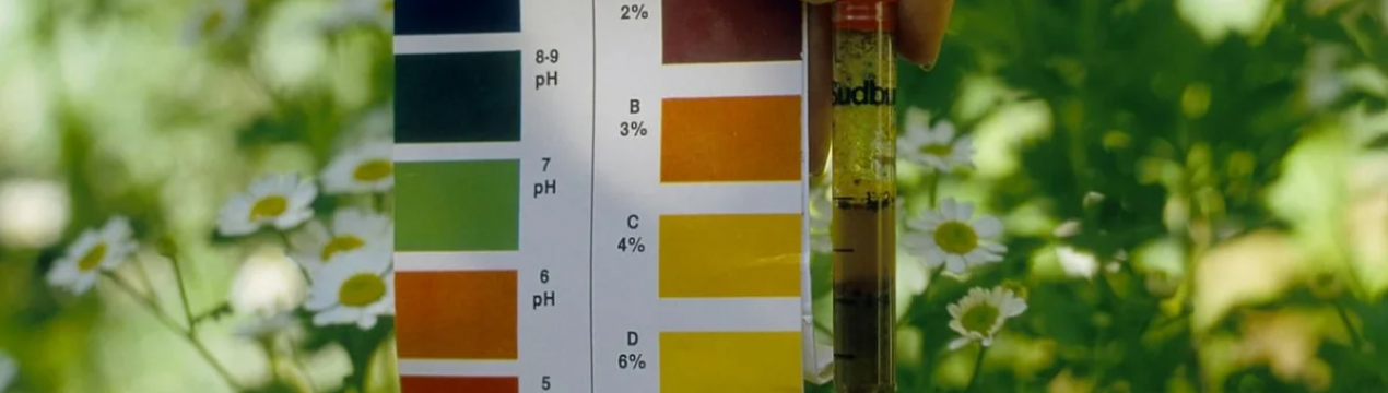 Тестування pH ґрунту