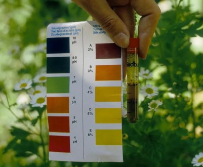 Тестування pH ґрунту