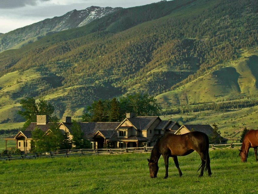 Федеральна програма надає фермерам та власникам ранчо 16 млрд доларів