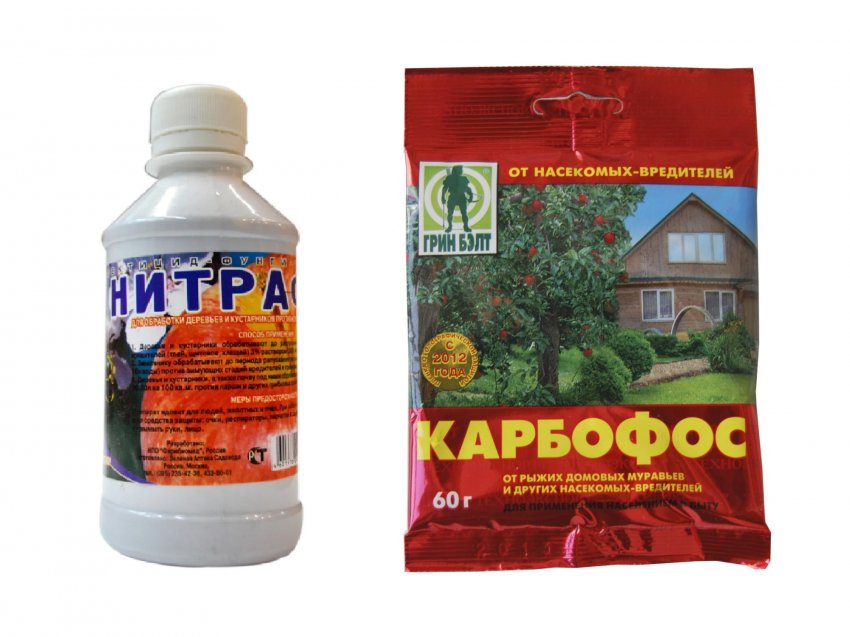 Нітросфен з карбофосом Нітросфен з карбофосом