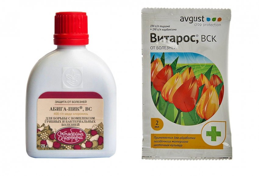 Використання фунгіцидів абіга або вітарос