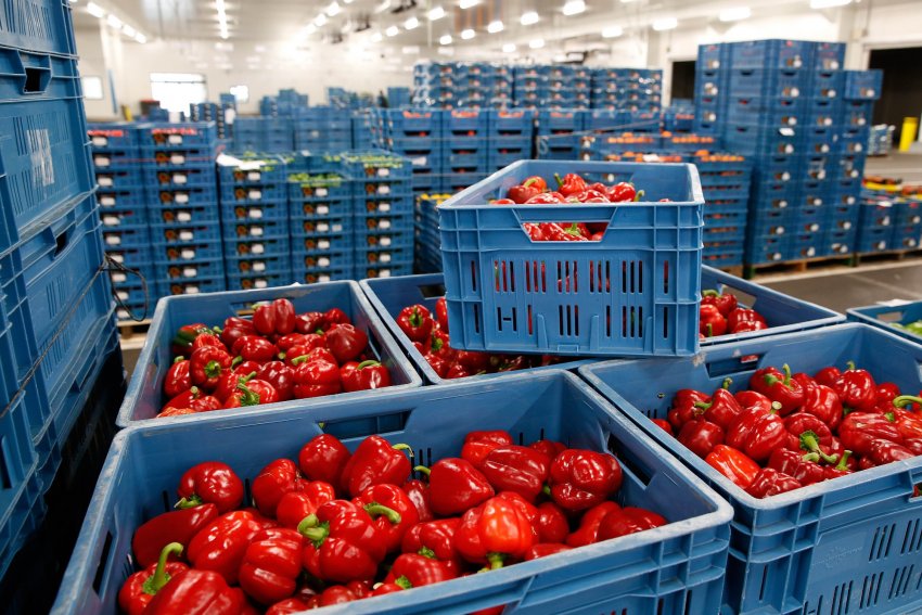 Імпорт продуктів харчування Імпорт продуктів харчування