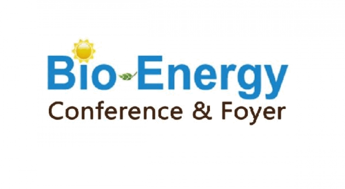 Sino-German BioEnergy Annual Conference 2020