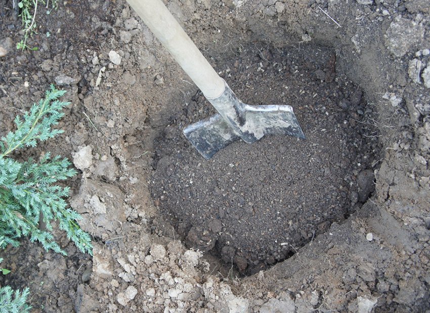 Підготовка грунту Підготовка грунту