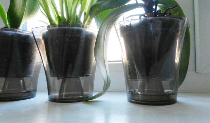 Занурення Занурення