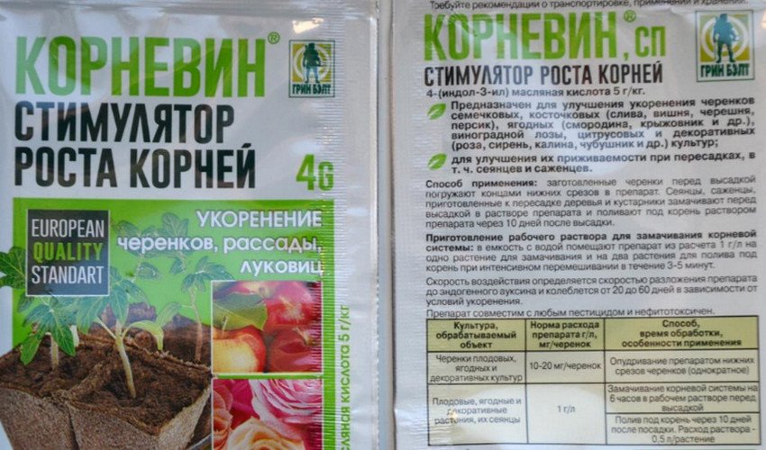 Корневін Корневін