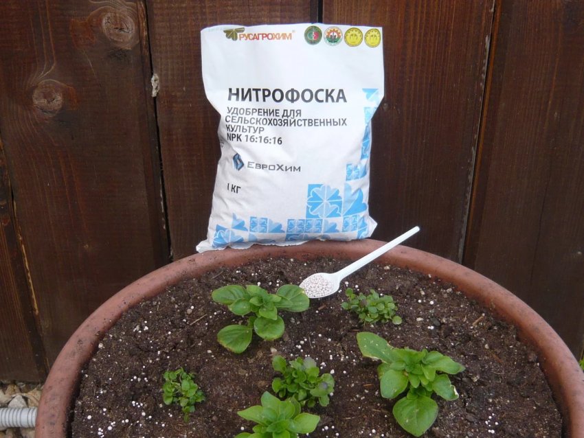 Підживлення Підживлення