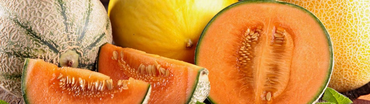 Виробники динь в Угорщині впевнені в хорошому врожаї