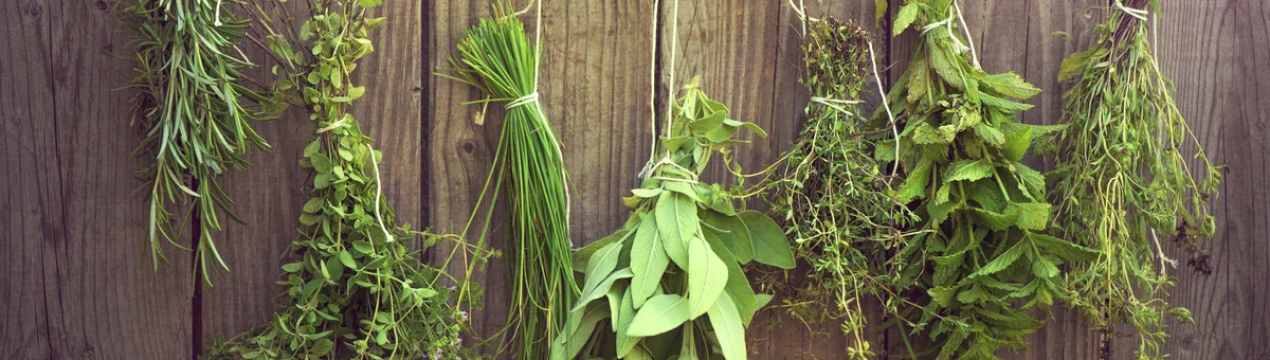 Збільшення додаткової вартості в рослинництві Болгарії