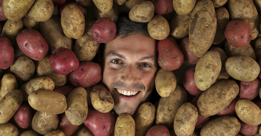 Білорус і картопля Білорус і картопля