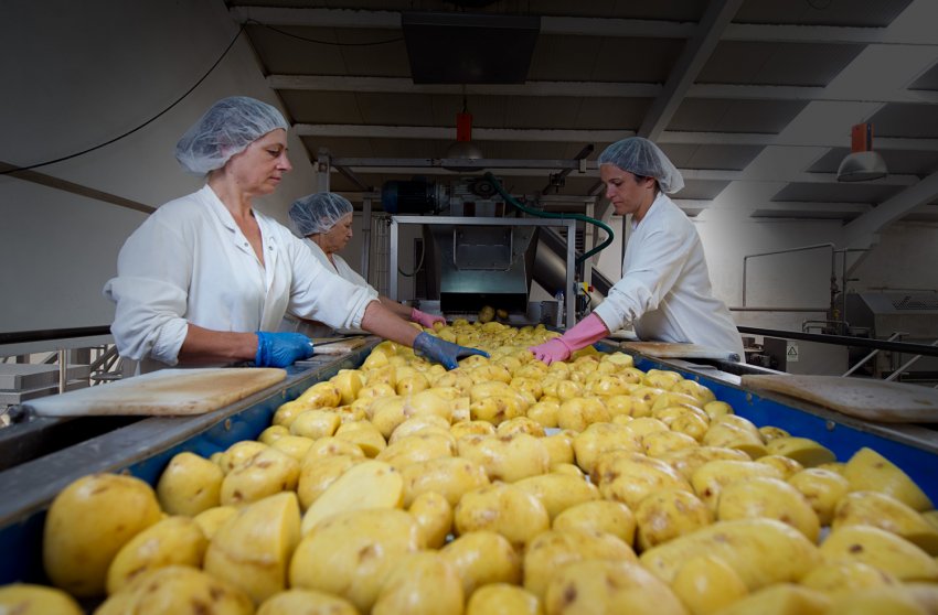 Виробництво кароплі Виробництво кароплі