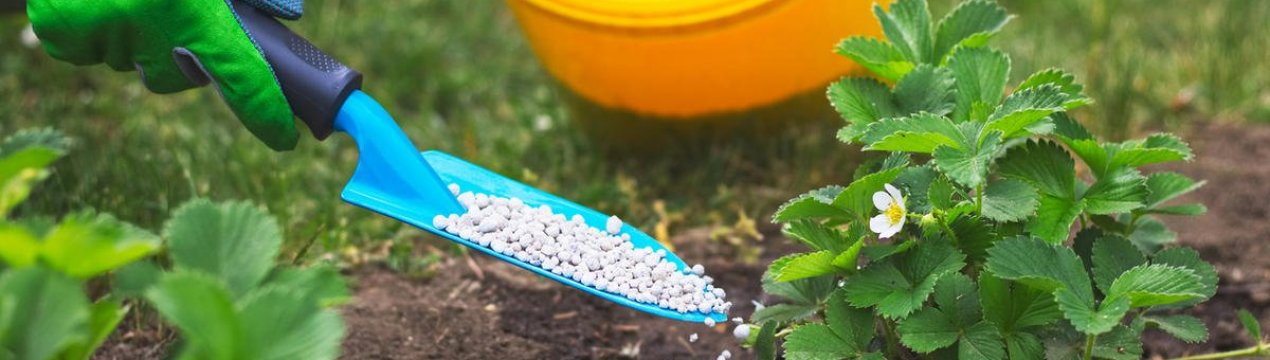 Універсальне добриво для всього саду!