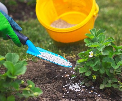 Універсальне добриво для всього саду!