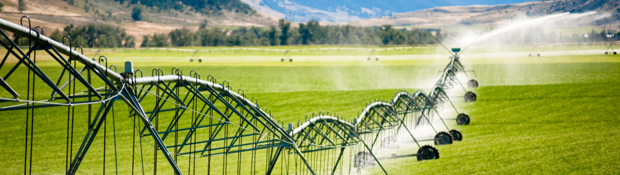 Міністерство сільського господарства Угорщини розпочне літо з програмою на суму 284 млн євро