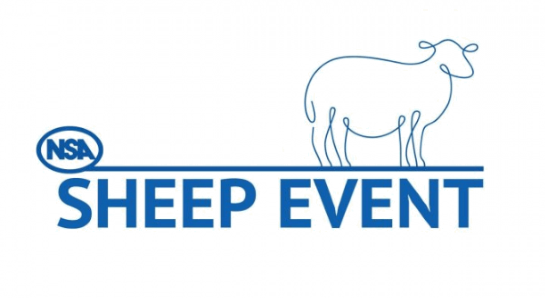 NSA Sheep Event 2020