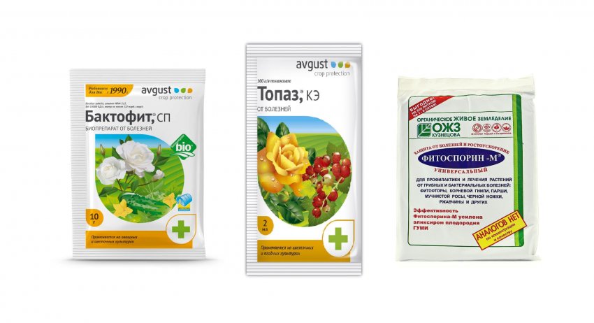 Бактофіт, Топаз і Фітоспорин Бактофіт, Топаз і Фітоспорин