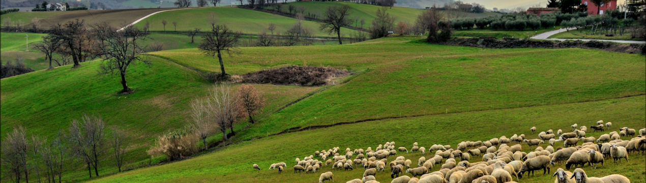 Фермери-орендарі не повинні бути виключені з урядових програм