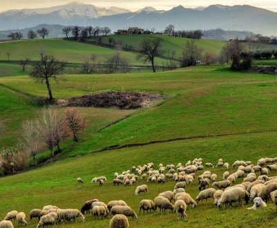 Фермери-орендарі не повинні бути виключені з урядових програм