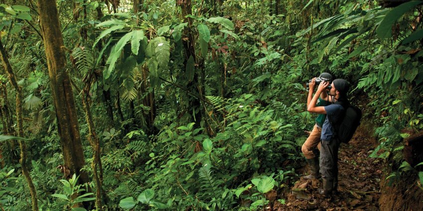 Незаконна мисливля