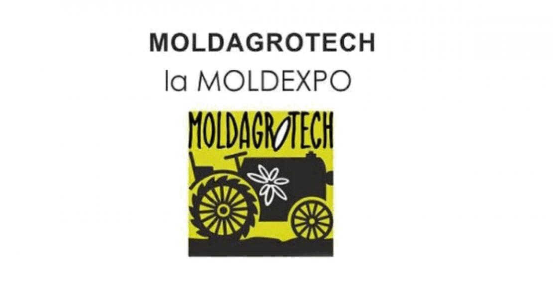 MoldaGrotech 2020
