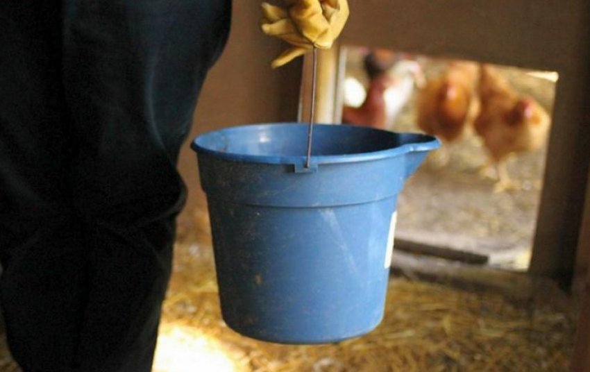 Мийка курника