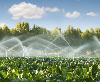 Валенсійська асоціація фермерів просить уряд змінити тарифи на електроенергію