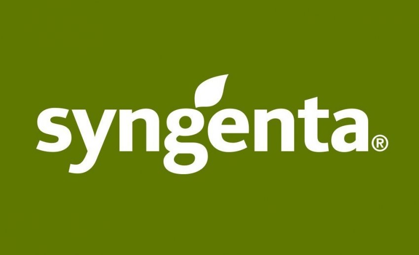 Syngenta Syngenta