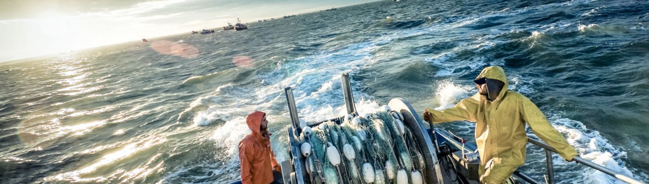 В 2019 році вилов індійської морської риби збільшився