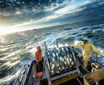 В 2019 році вилов індійської морської риби збільшився