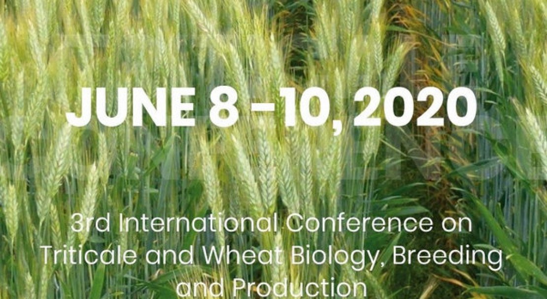 III Международная конференция по биологии, селекции и производству тритикале и пшеницы