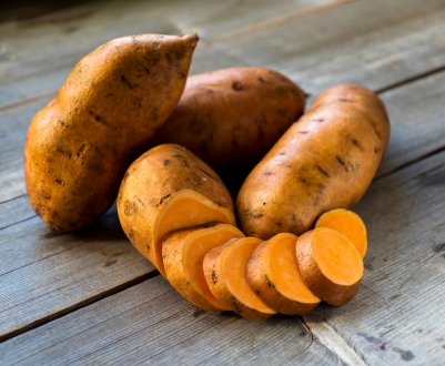 Сезон єгипетського солодкого картоплю почався добре