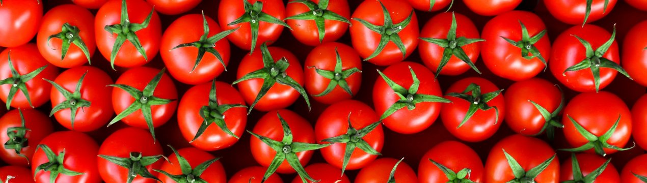 Помідори продовжують надходити в Німеччину головним чином з-за кордону