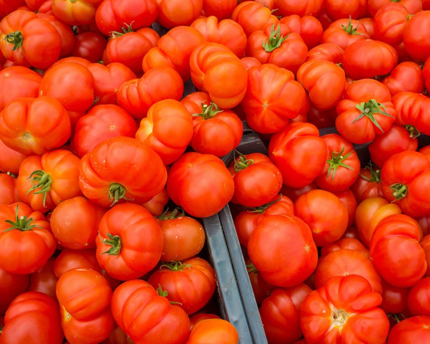 Помідори продовжують надходити в Німеччину в основному з-за кордону Помідори продовжують надходити в Німеччину в основному з-за кордону