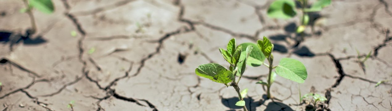 У Чилі все ще дефіцит опадів у порівнянні з іншими роками