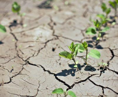 У Чилі все ще дефіцит опадів у порівнянні з іншими роками