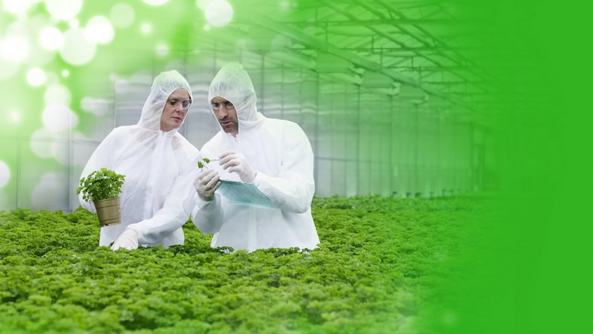 Купить Для Коммерческого Использования