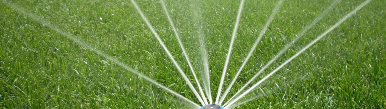 Секрети автоматичного поливу для дачі