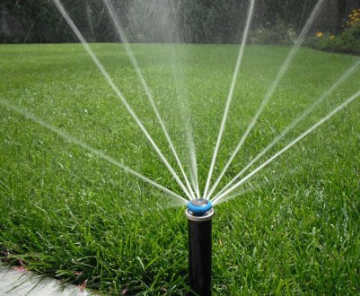 Секрети автоматичного поливу для дачі