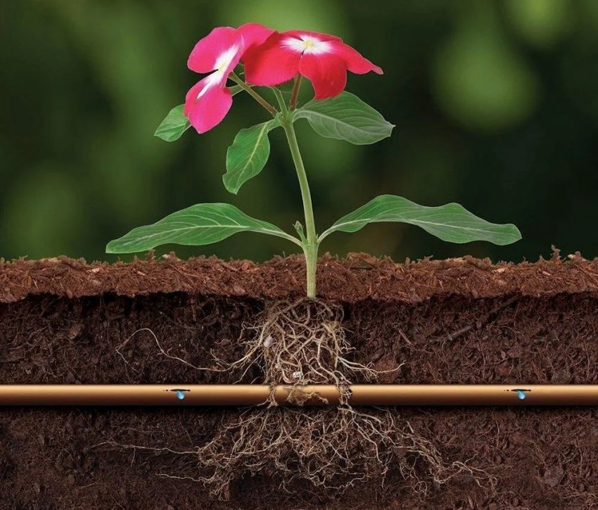 Внутрішньопочвенний полив