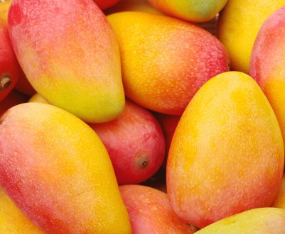 В Китаї зниження виробництва манго досягає 20%