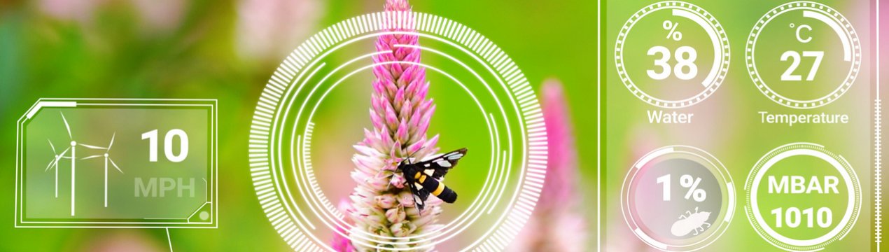 Представлення кращих рішень для сільського господарства на виставці «Сибірський аграрний тиждень - 2020»