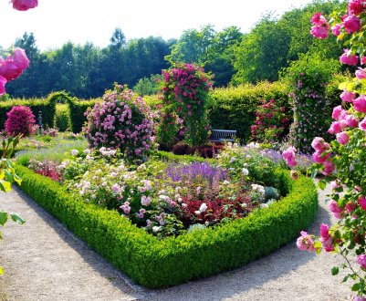 10 бюджетних способів створити красивий сад