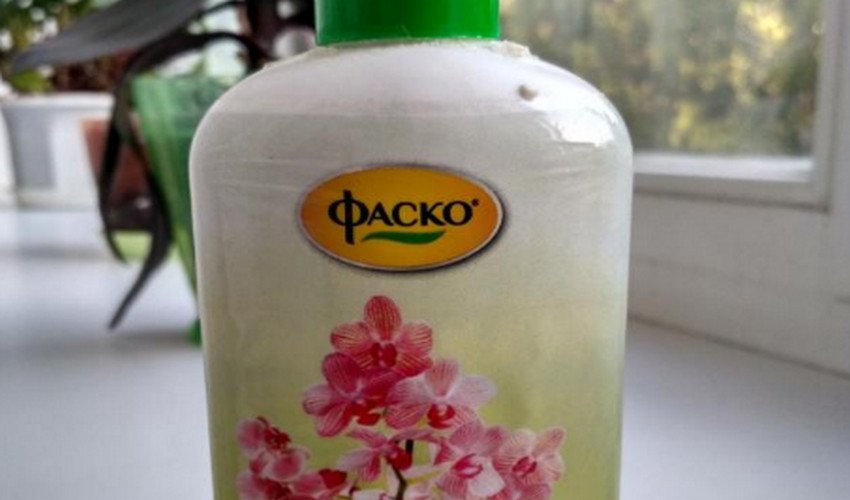 Фаско Фаско