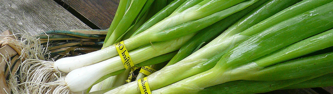 Попит на єгипетський зелений лук був на висоті