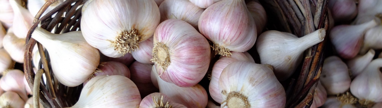 У цьому році ринки повинні будуть прийняти внутрішню красу часнику