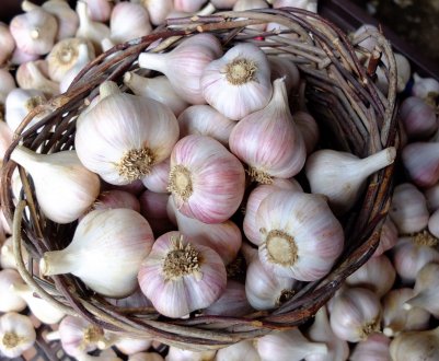 У цьому році ринки повинні будуть прийняти внутрішню красу часнику