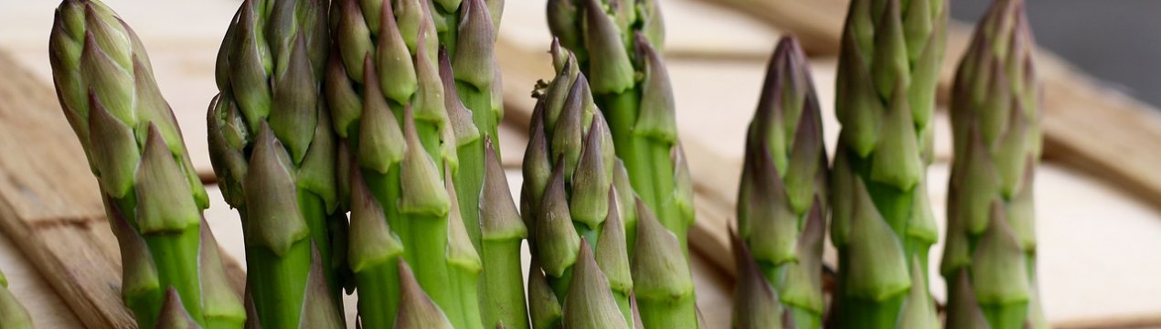 Значно менше спаржі зібрано в Баден-Вюртемберзі
