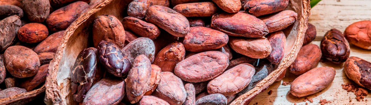 Нестле і Каргіль зіткнулися з вимогами від нащадків рабів какао-ферм Кот-д'Івуару