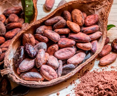 Нестле і Каргіль зіткнулися з вимогами від нащадків рабів какао-ферм Кот-д'Івуару